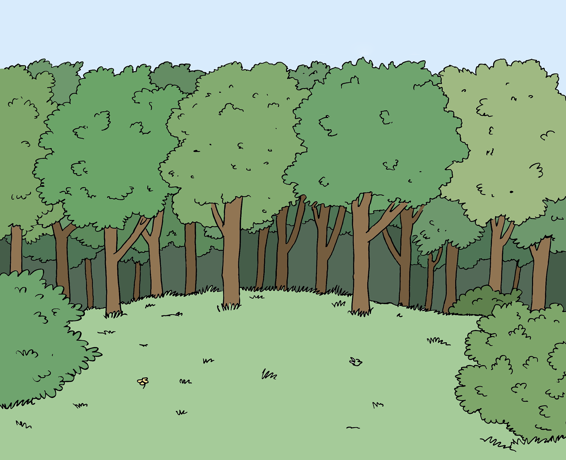 Bild zeigt einen Wald